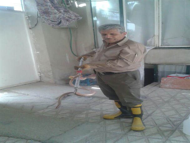 مارگیری مامورین آتش نشانی در بهار