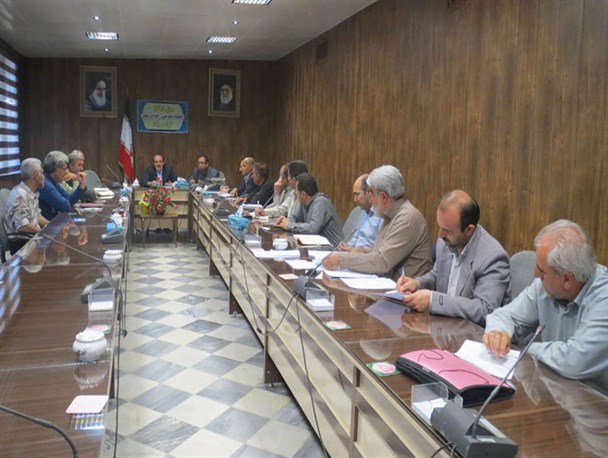 آغاز مبارزه با آفت سن گندم در مزارع شهرستان سنقروکلیایی