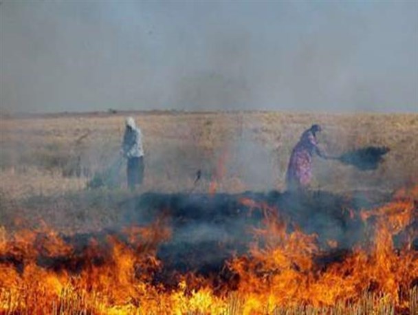 آتش‌سوزی20 هکتار از مزارع کشاورزی کهگیلویه به دلیل سهل‌انگاری یک کشاورز