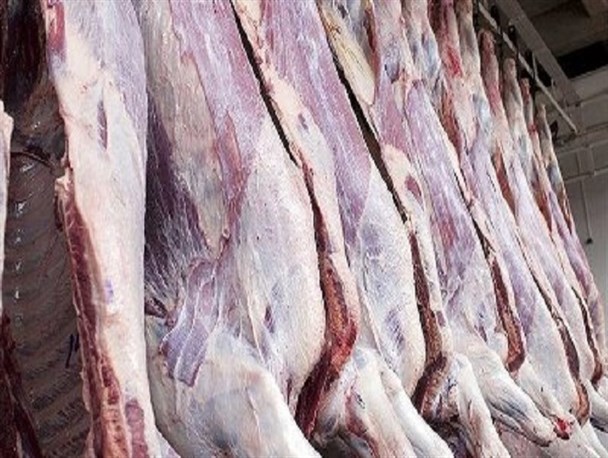 ​افزایش قیمت نهاده ها علت گرانی گوشت