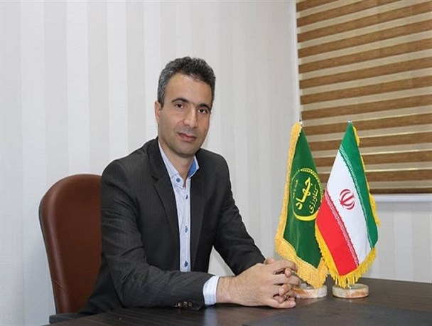 اصلاح نژاد بر پایه انتخاب و گزینش دام برتر می‌باشد/ اصلاح نژاد گوسفند با نژاد رومانوف