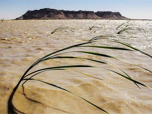 آبگیری اصلی ترین کانون گرد و غبار در سیستان/ دایک مرزی برای ورود آب به تالاب هامون بازگشایی شد