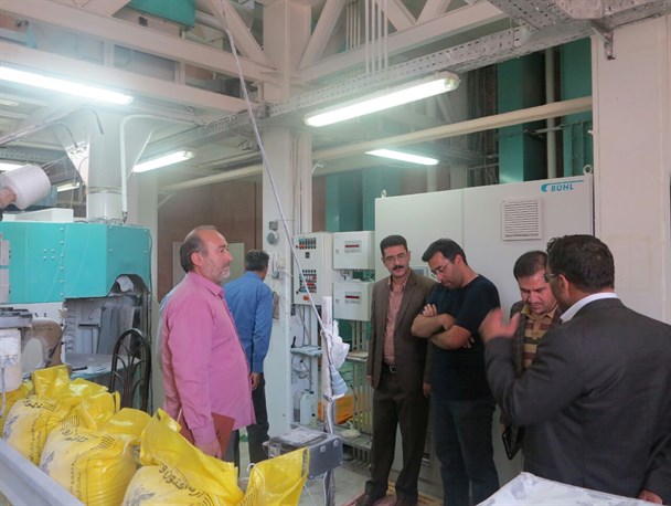 بازدید دستگاه‌های نظارتی چناران از مراکز خرید تضمینی گندم