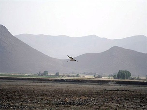 نامه 650 نفر از هنرمندان و فعالان مدنی به رییس جمهور برای نجات تالاب آق‌گل