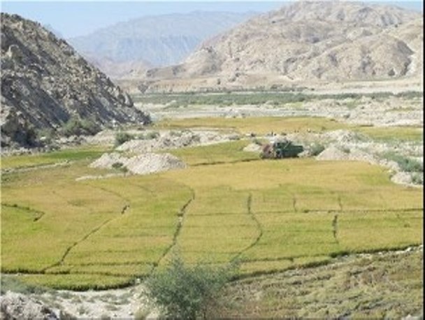 آب,خاک ونیروی انسانی در انتظار صدور مجوز برای تحول در کشاورزی مسجدسلیمان
