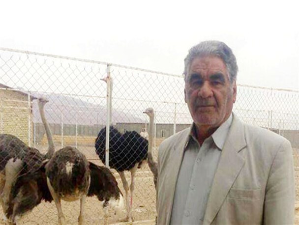 ظرفیت بالای پرورش شترمرغ در ایجاد اشتغال / تسهیلات اقتصاد مقاومتی بسیار راهگشاست