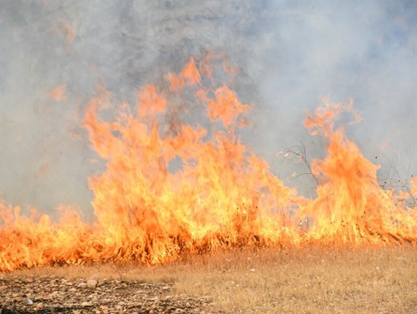 تاخت و تاز آتش در منابع طبیعی "ارسنجان" همچنان ادامه دارد/ اعزام بالگرد از اصفهان جهت مهار آتش در مراتع فارس