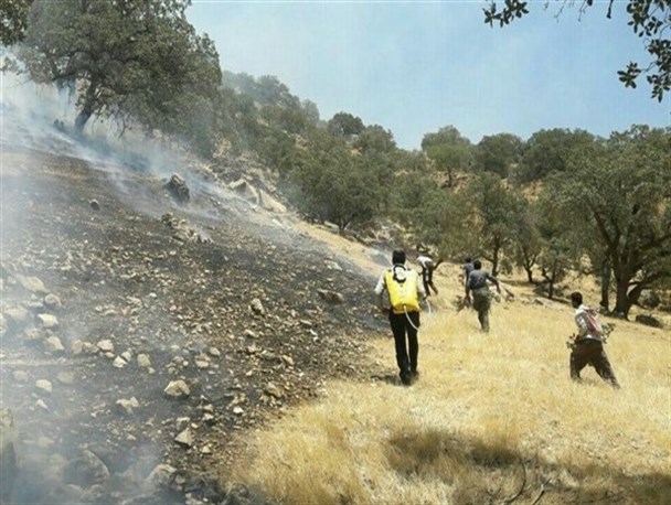کاهش چشمگیر آتش سوزی مراتع در استان زنجان/ فعالیت ۲۴ ساعته گشت‌های یگان حفاظت منابع طبیعی
