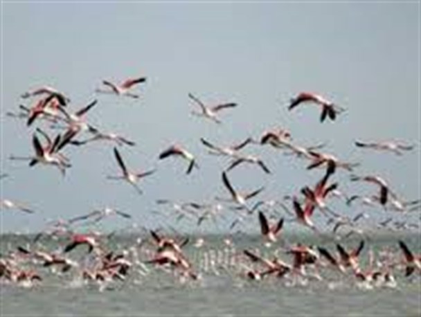 خطری که از بیخ گوش میانکاله گذشت/نجات شبه جزیره از یک طرح احساسی