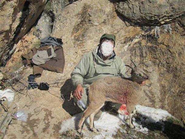 شکارچی غیر مجاز در شهرستان روانسر دستگیر شد/ تشدید مجازات با شکارچیان غیر مجاز