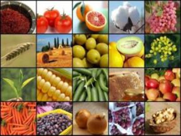 خراسان رضوی از قطب های صنایع غذایی کشور است