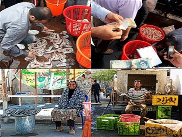 فروش میگو در حاشیه خیابان ها،جولانی برای جانوران شده است/ شهرداری مقصر ریختن آشغال های میگو در حاشیه خیابان ها است+تصاویر