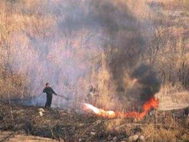 دو هکتار از مراتع نیر طعمه حریق شد