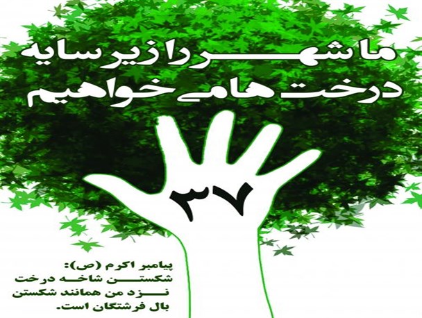 راه اندازی کمپین “ما شهر را زیر سایه درختان میخواهیم” در رشت