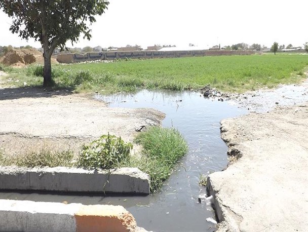 آبیاری زمین کشاورزی با طعم فاضلاب و زباله در شهر قدس