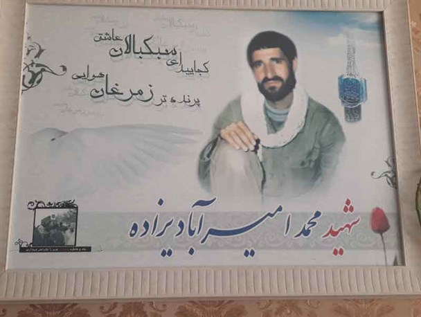 هربار کربلا می روم یاد شهید در من زنده می شود