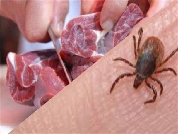 ابتلای22 نفر به تب کریمه کنگو در سیستان وبلوچستان/ زاهدان،پیشین و زابل رکورددار مبتلایان در استان شدند
