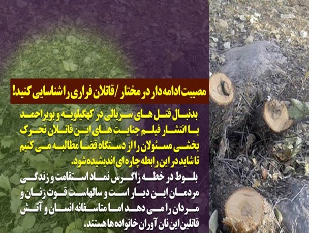 قاتل را شناسایی کنید/ شائبه دست‌داشتن آقای نماینده در انتصابات
