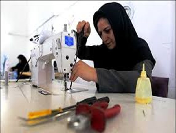 اختصاص بیش از یک میلیارد ریال برای بیمه زنان سرپرست خانوار در استهبان