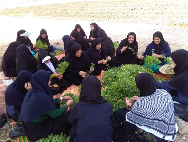 اردوی جهادی یک روزه بسیج خواهران در روستای بهره عنا باشت