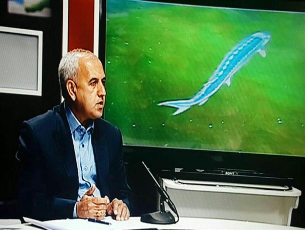 حفظ و تکثیر ذخایر ماهیان خاویاری در گلستان در دستور کار قرار گرفته شود