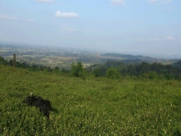 روستای “گنجار” شفت و پتانسیل های فراوان توریستی