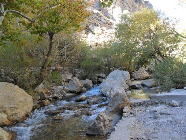 مرگ تدریجی یک رویا/ نامهربانی با نماد پایتخت طبیعت و سهل انگاری مسئولان