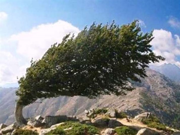 رگبار و وزش باد در ارتفاعات استان از بعداظهر امروز/ افزایش دما در روزهای پایانی هفته