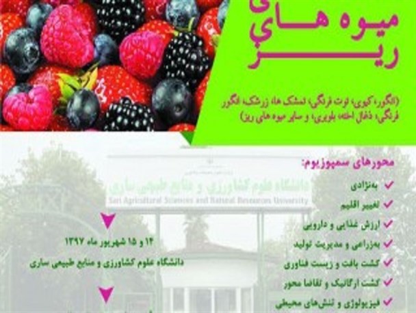 دومین سمپوزیوم ملی میوه‌های ریز در مازندران برگزار می‌شود