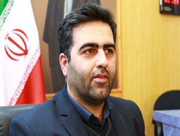 ۶۰ درصد فعالیت سمن‌های استان زنجان در حوزه فرهنگی است