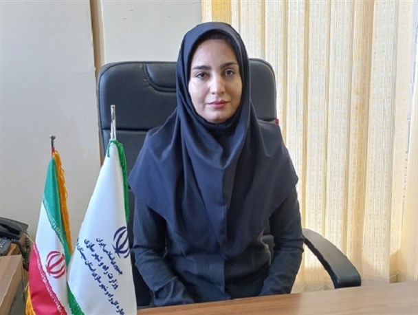 طرح جامع ۵ شهر سیستان و بلوچستان در حال تهیه است