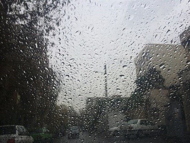باران پاییزی به شهر گل و گیاه رسید