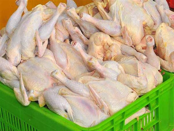 سهم 9 درصدی شهرستان جویبار در تولید گوشت سفید استان