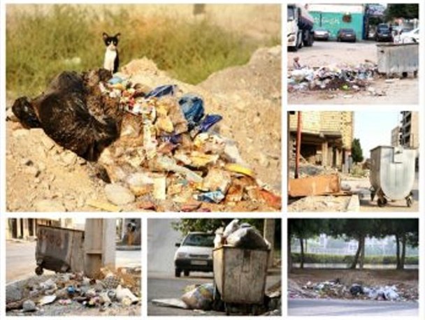 جولان زباله و جانوران موذی درمحلات پایتخت اقتصادی