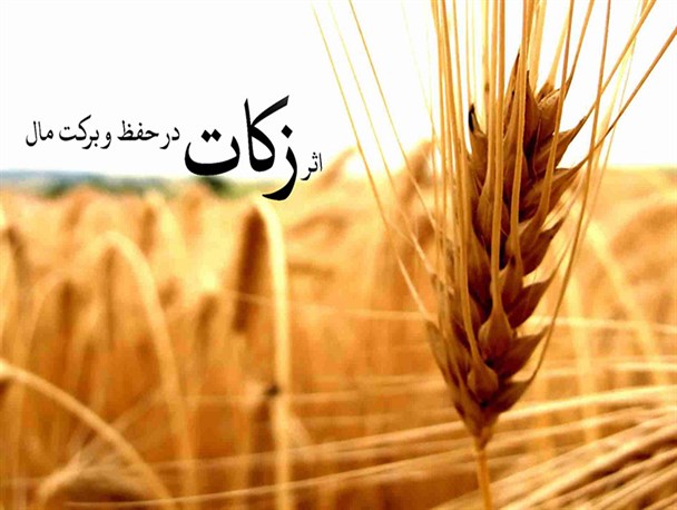 پرداخت زکات در تحقق اقتصاد مقاومتی تاثیر گذار است