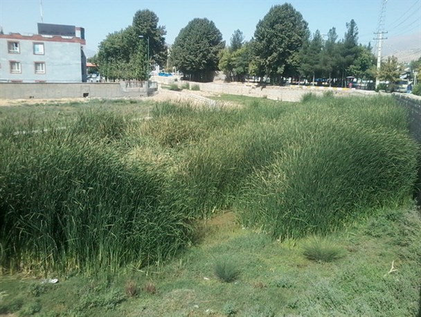 کانال به حال خود رها شده سراب دوره/تصاویر