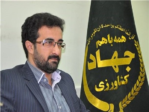 پیش بینی برداشت بیش از 4800 تن عناب در استان خراسان جنوبی