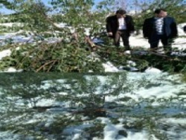 داغ سرما بردل درختان، زانوی غم باغداران گرمی