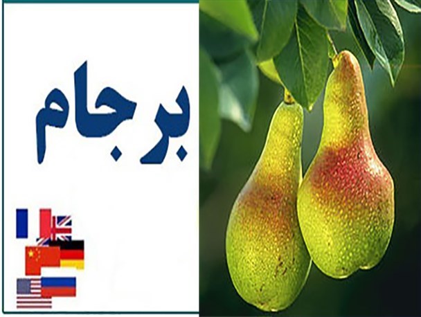 چرا دولت نتیجه بخشی دستاوردهای برجام را به درخت گلابی تشبیه کرد؟