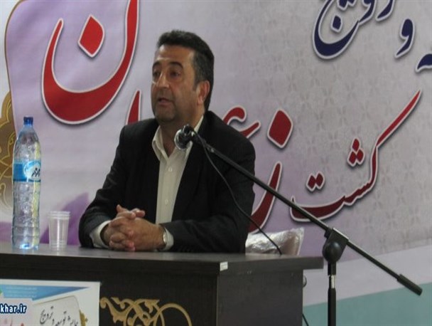 کشاورزان برتر کشت زعفران در برخوار تجلیل شدند+ تصاویر