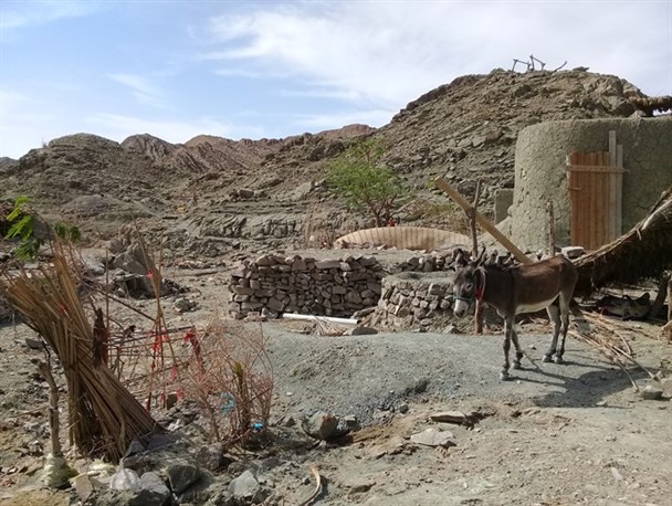 پیشرفت عمرانی در بستکان معنی ندارد/ مردم با آب گل آلود و چارپایان روزگار سر می کنند+تصویر
