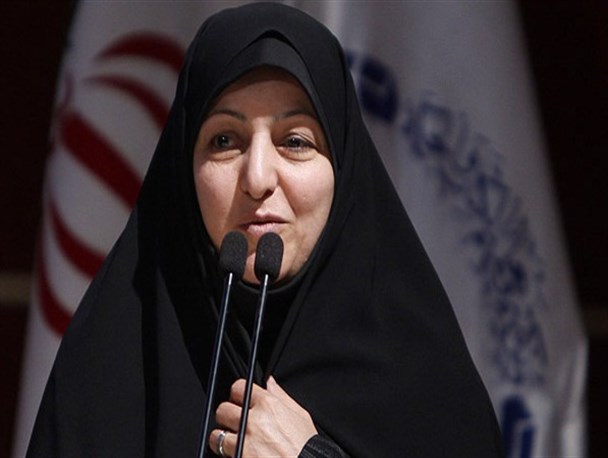 عملکرد برخی مسئولان برای زیر سوال بردن زحمات هسته ای ناراحت کننده است