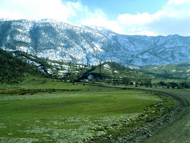 منطقۀ نمونۀ گردشگری جنگل اولنگ شـاهرود