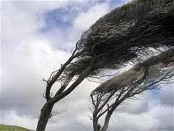 تندبادی با سرعت 87 کیلومتر بر ساعت بروجرد را درنوردید