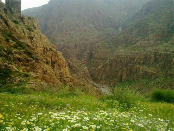 ضرورت حفاظت از مناطق طبیعی و حیات وحش شهرستان ملکشاهی