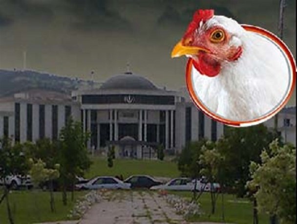 حذف تدریجی مرغ از سبد غذایی خانوار