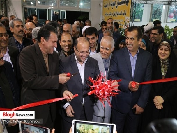 ترانزیت و ترابری از مشکلات جدی در صادرات محصولات کشاورزی