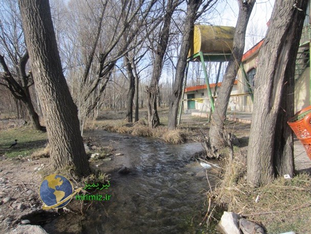 طبیعت زمستانی نیر به روایت تصویر