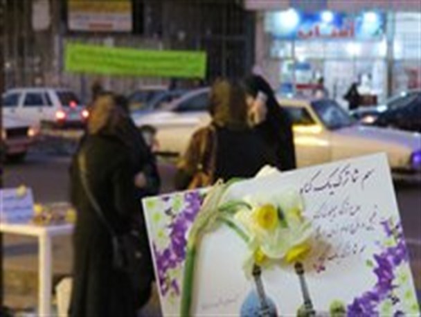 عطر گل نرگس در شهر تنکابن پیچید