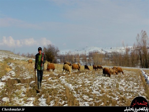 طبیعت زمستانی سرعین + تصاویر